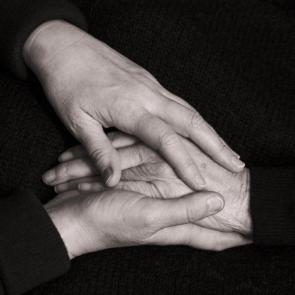 ���� ������� ������