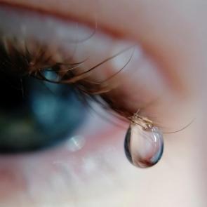 ���������� ��������