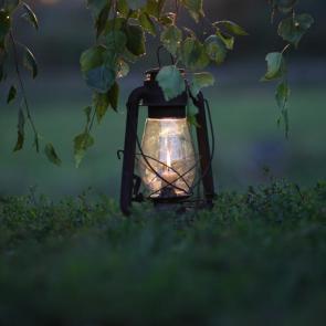 ����� ������� �����