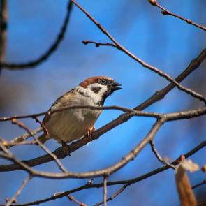 ����: ��� ������� � �����. 