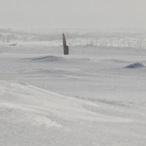 ����: ���������� �����