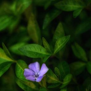 ����: �������� �����