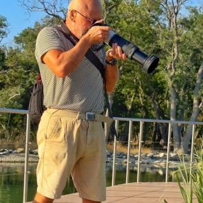 ����: ������