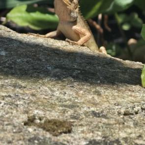 ����: �� ��������