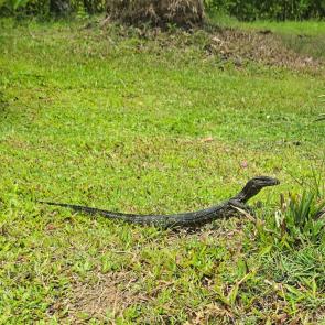 ����: ������� ������