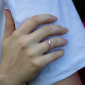 ���� ������� ������