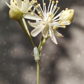 ���������� ��������