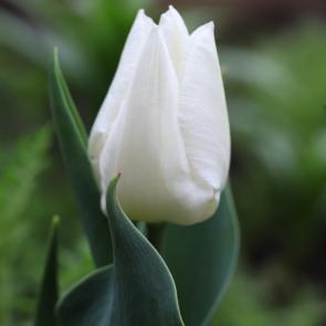 ����: �������� ������� 