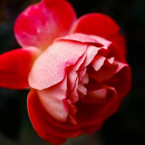 ����: ���� �� ����