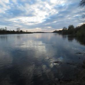 ����: ����� ���������