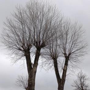 ����: �������....