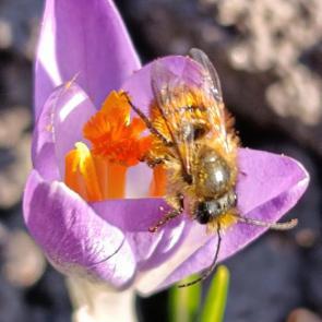 ����: ���������� ������ �� �������� ���������