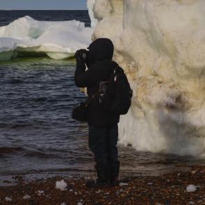 ����: ������������ ������