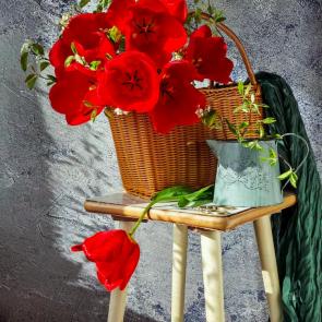 ��������� ��������� � ������ �������