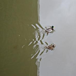 ����: ���� � ����.