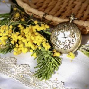 ����: ����� �����