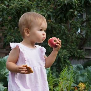 ����: ����� � �������