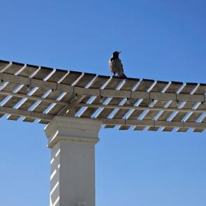 ����: ���� ������ ���