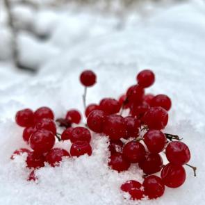 ����: ����� �� �����