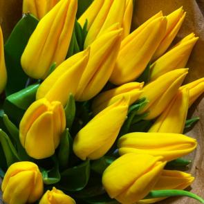 ����: Ƹ���� ��������