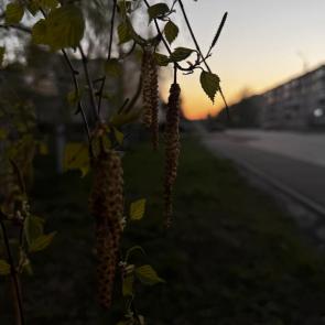 ����: ������� �� ������ 