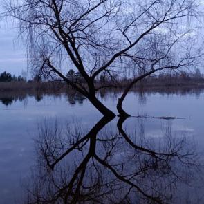 ����: ������ - ����������