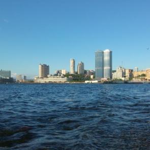 ������ ������