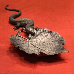 ����: ������