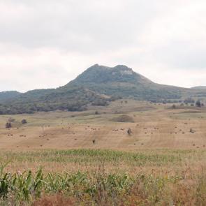 ����: ���������