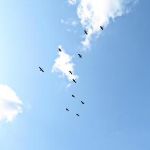 ����: ����� ���������� �����...