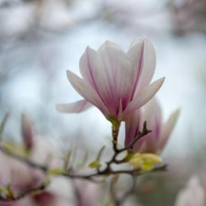 ����: �������� 