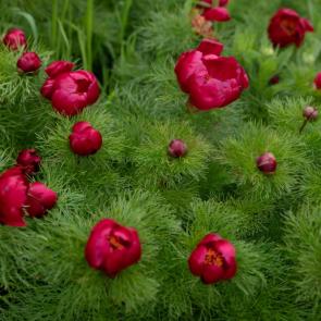 ����: �������� ������