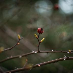 ����: ������� �������