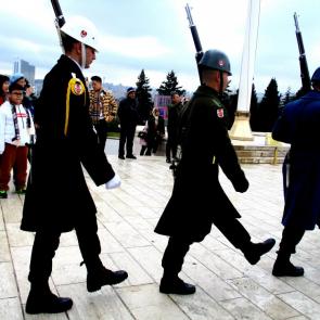 ����: ������