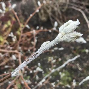 ����: ����� ������� 