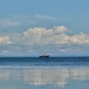 ����: ������� 