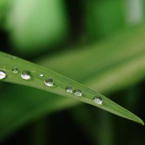 ����: ����� �����