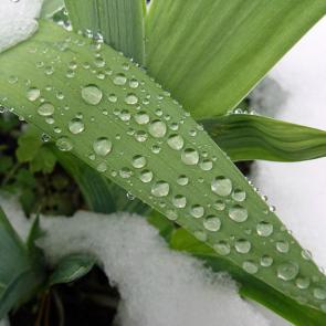 ����: ������ �������