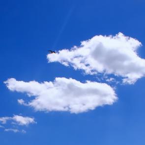 ����: ����� �� ������