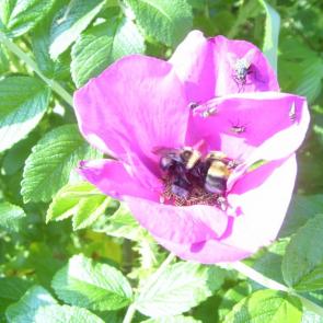 ����: �� ��������