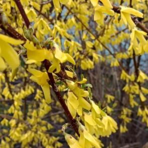 ����: ������� ������ ����� 