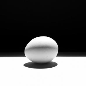 ����: ����