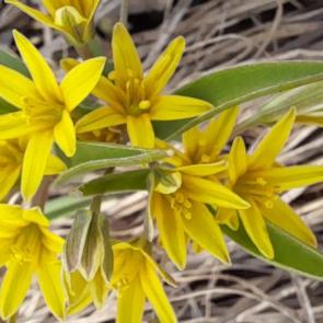 ����: ������