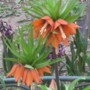 ����: ������ �������������