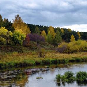 ����: �����