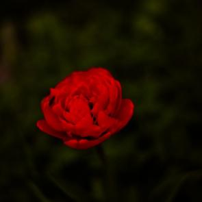 ����: ������� � ���� ���.