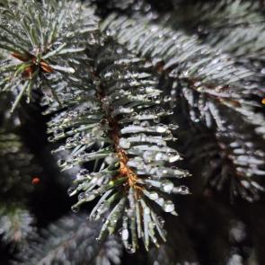 ����: ������� ������