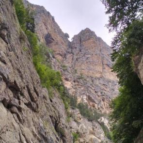 ����: � ��������� ������