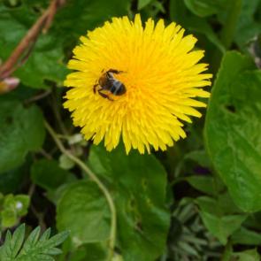 ����: ���������� ������