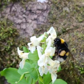 ����: ��������